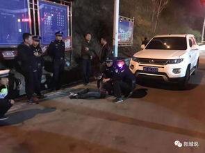 重庆停车爆料事件视频,视频揭露惊人真相，引发社会热议